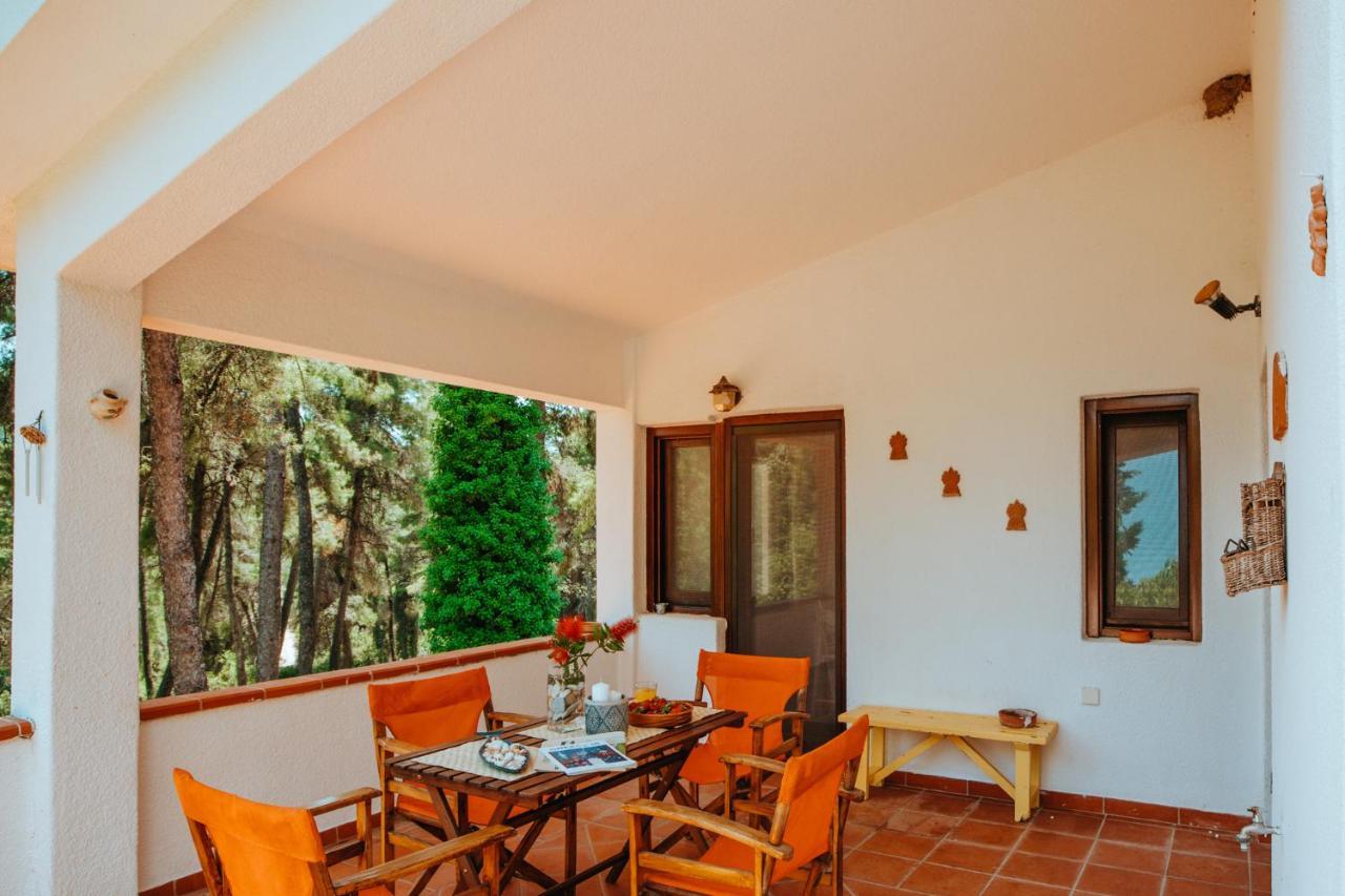 Beautiful Summerhouse In Sani'S Pine Forest 撒尼海滩 外观 照片