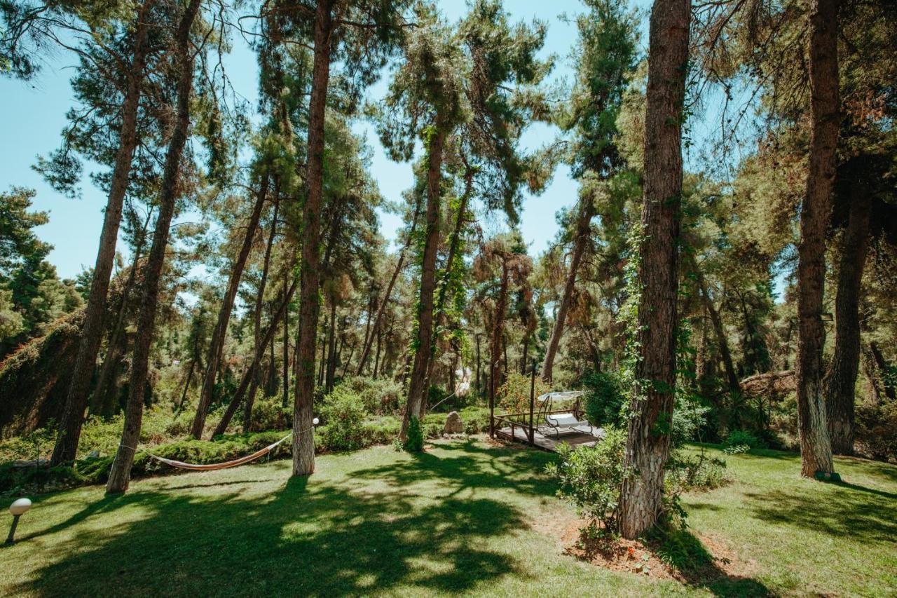 Beautiful Summerhouse In Sani'S Pine Forest 撒尼海滩 外观 照片