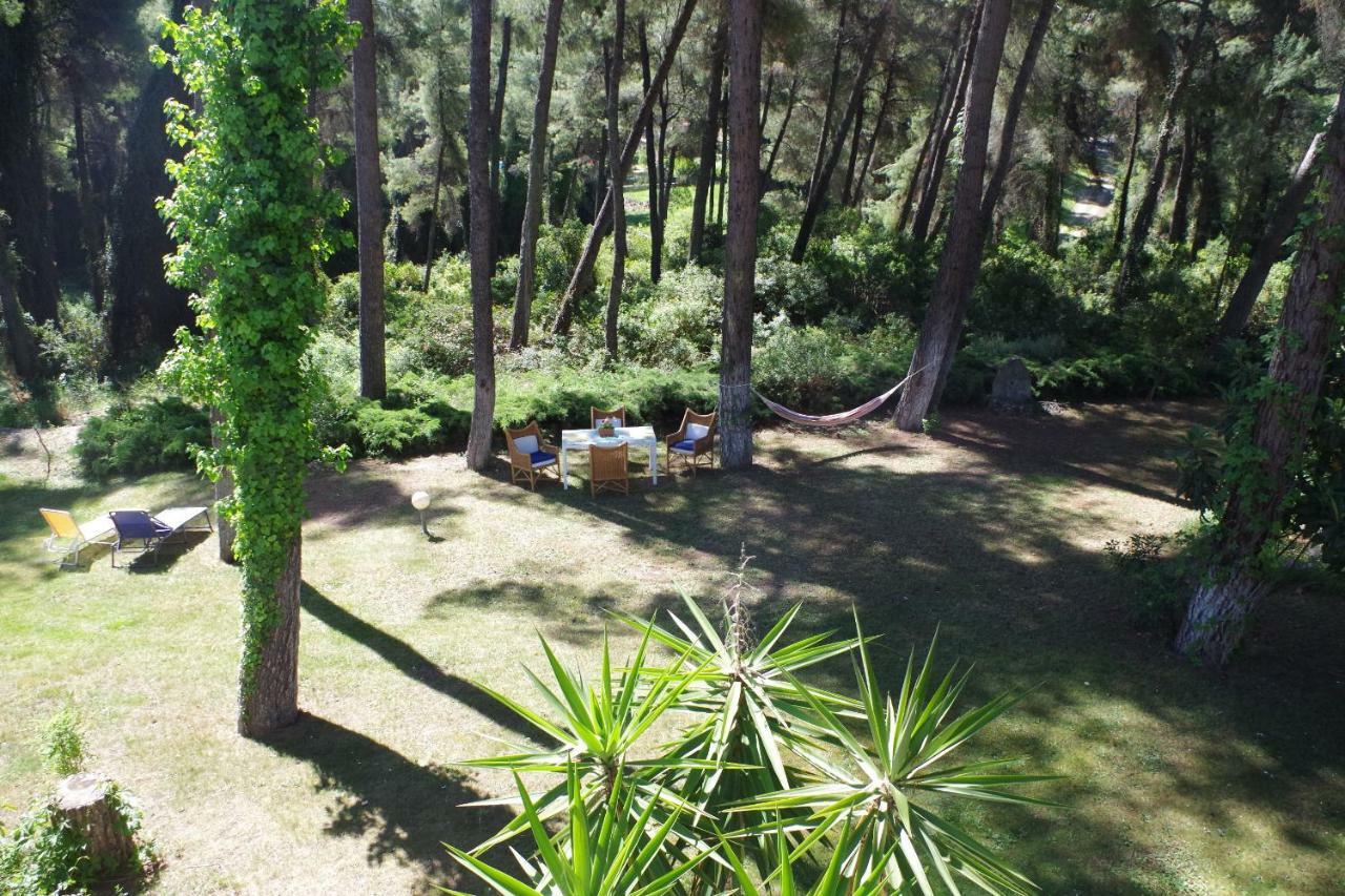 Beautiful Summerhouse In Sani'S Pine Forest 撒尼海滩 外观 照片